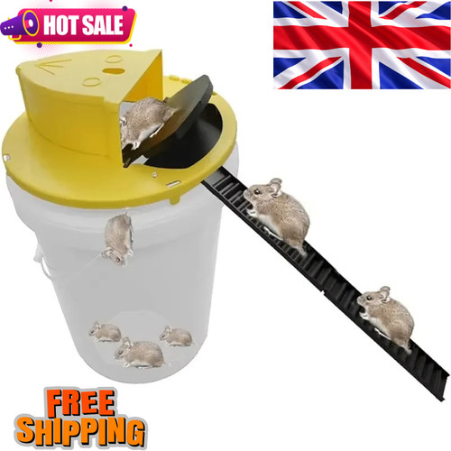 Mouse trap bucket - trap,