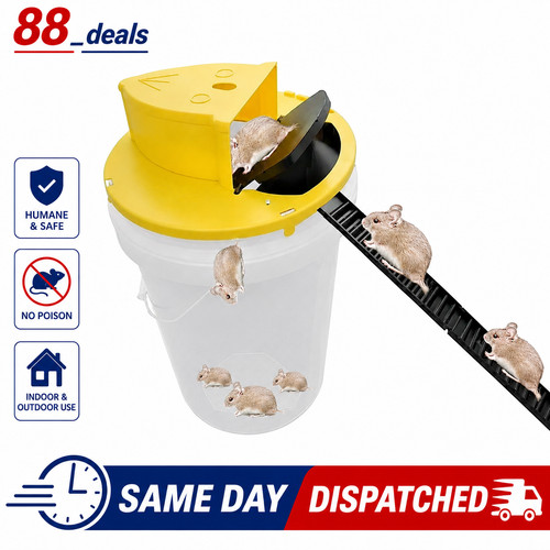 Flip slide mouse rat trap - slide,
