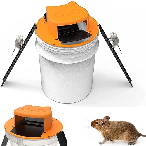 Mouse trap bucket lid - lid,