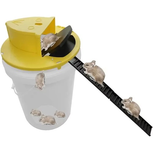 Pest control slide - pest, bucket